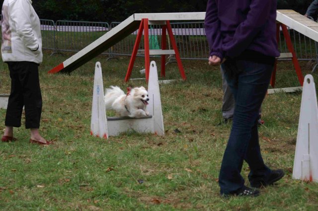 foire-haricots 2011-09-17et18